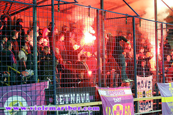 Viole v Dom�alah